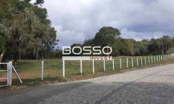 Imagem: Área rural em São José dos Pinhais