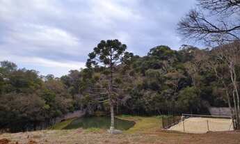 Imagem: GUARAPUAVA - Padrão - Trianon