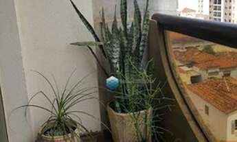 Imagem 7: Apartamento com 3 dormitórios à venda, 130 m² por R$ 380.000 - Centro - São José do Rio Pr