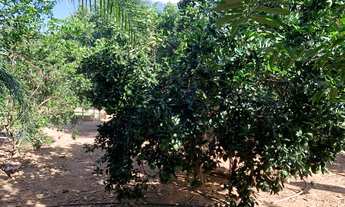 Imagem 6: Fazenda/Sítio/Chácara para venda possui 250 metros quadrados com 5 quartos em Centro - Ita