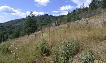 Imagem 6: Terreno / Venda Terreno / lote com venda por R$490.000