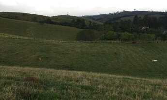 Imagem 2: C03-Traga sua Familia para a vida no Campo