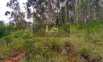 Imagem 7: SÍTIO EM SÃO ROQUE COM 4,5 ALQUEIRES