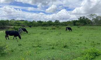 Imagem: Área à venda,140000m2 por R$750.000,00-4º