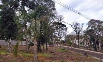 Imagem: GUARAPUAVA - Terreno Padrão - Trianon