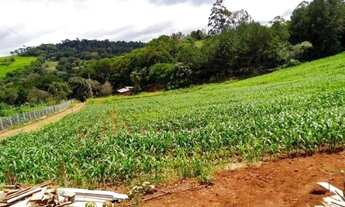 Imagem 2: Vendo exelente chácara em são Brás