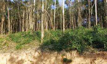 Imagem 3: 40 Empreendimento em Ibiúna-SP - Terrenos de 1000m² 1SF480J