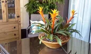 Imagem 3: Apartamento para Venda em Passo Fundo, Centro, 3 dormitórios, 1 suíte, 2 banheiros