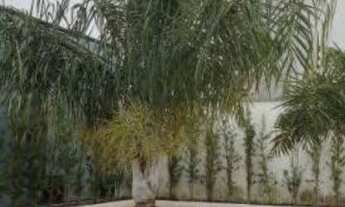 Imagem: PALMAS - Apartamento Padrão - Plano Diretor