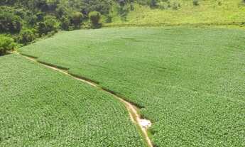 Imagem 4: Vende-se Excelente Oportunidade (Propriedade 46 ha