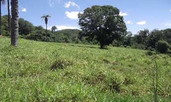 Imagem 5: Fazendinha antiga 15 ha, terra boa, riacho no meio do terreno, Serra do Cipó