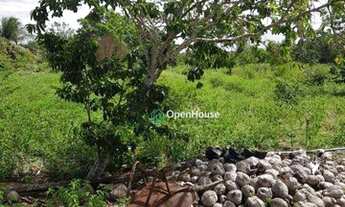 Imagem 7: Sítio Rural à venda, Centro, Ceará-Mirim - SI0001