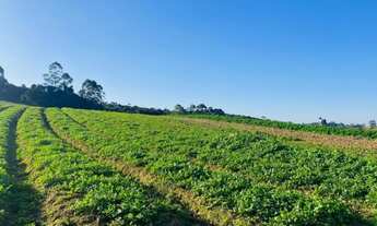 Imagem 4: W.N.S COMECE A INVESTIR EM TERRENOS NO INTERIOR EM IBIÚNA-SP