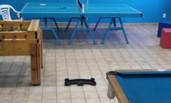 Imagem 2: Apartamento - Jardim García - Campinas