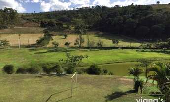 Imagem 2: Paraíba do Sul - Fazenda - Sebolas