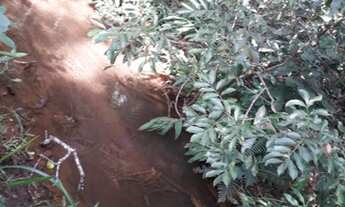 Imagem 3: Chácara próximo ao daia