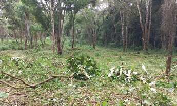 Imagem 4: Lote/ terreno em Ibiuna AK7NVD