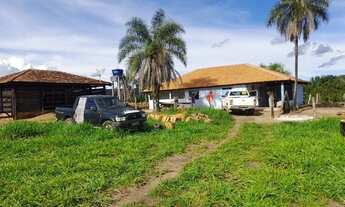 Imagem 3: Fazenda de 12 Alqueires Pasto Próxima a Lajeado