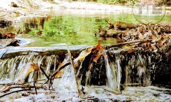 Imagem 7: Chácara com 3 dormitórios à venda, 484000 m² por R$ 800.000,00 - São Félix - Marabá/PA