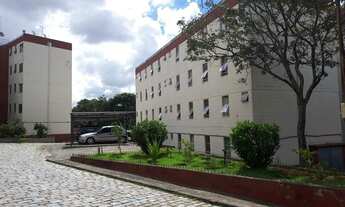 Imagem: Apartamento - Dic II (Conj Habitacional