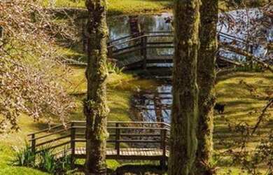 Imagem 6: Terreno à venda, 1346 m² por R$ 1.400.000,00 - Alto Do Capivari - Campos do Jordão/SP