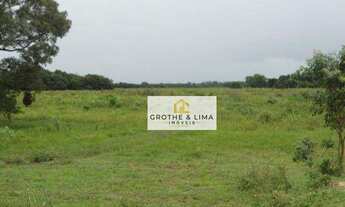 Imagem 5: Fazenda à venda, 88.000 hectares por R$ 220.000.000 - Poconé/MT