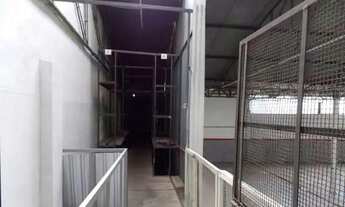 Imagem 4: Galpão penha Galpão / depósito com 5 vagas na garagem