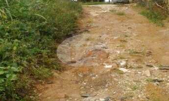 Imagem 2: Terreno - Vila Brandina - Campinas