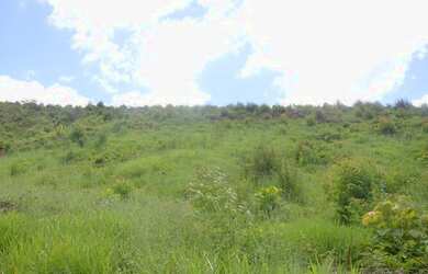 Imagem 7: Vendo terreno com área verde e lagos para pescar direto com o proprietário