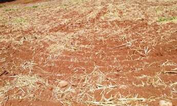 Imagem 3: Vendo exelente chácara em são Brás