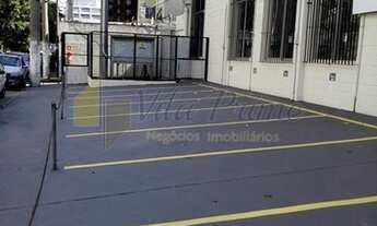 Imagem 2: Locação de Comercial / Galpão na cidade de São Paulo