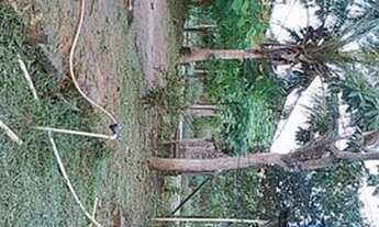 Imagem 4: Vendo casa Casa com 2 dormitórios