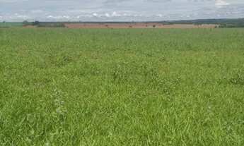 Imagem 6: FAZENDA NA REGIÃO DE ADAMANTINA COM 84,42 ALQUEIRES