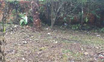 Imagem 3: Terreno em mosqueiro