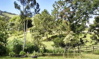 Imagem 3: Chácara a venda