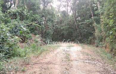 Imagem 3: Terreno à venda, 1115 m² por R$ 110.000,00 - Parque Petrópolis - Mairiporã/SP