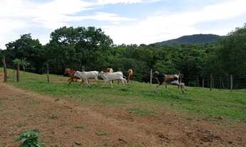 Imagem 3: Fazenda formada próximo Beserra Formosa