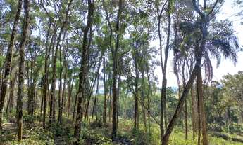 Imagem 4: Terrenos em Ibiuna GQO80J