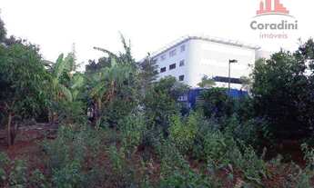 Imagem 8: Área à venda, 5055 m² por R$ 3.300.000 - Vila Biasi - Americana/SP