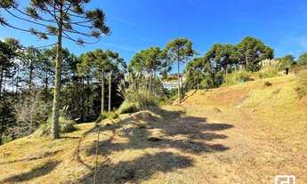 Imagem 2: Terreno à venda, 1040 m² por R$ 1.040.000,00 - Jardim das Pérolas - Campos do Jordão/SP