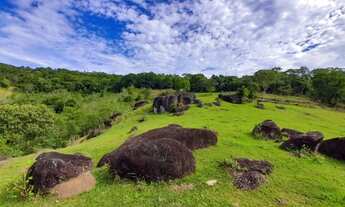 Imagem: Sítio para Venda em São José, Colônia