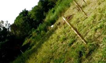 Imagem 3: TERRENO DE CHÁCARA 800M2, BAIRRO VIVENDAS BELA VISTA