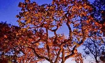 Imagem 7: Aluguel para - POUSADA , SPA, CLÍNICA DE REPOUSO e afins