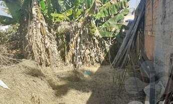 Imagem 3: Terreno à venda, 252 m² por R$ 159.000,00 - Jardim Maria Antonia (Nova Veneza) - Sumaré/SP