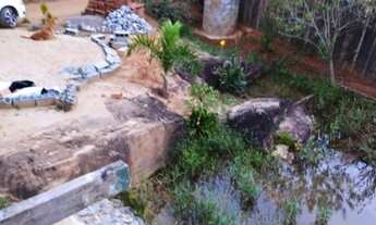 Imagem 4: Vende se chácara na região do ancorado 500m do asfalto