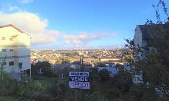 Imagem: CAXIAS DO SUL - Terreno Padrão - COLINA