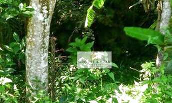 Imagem 6: Imperdível Terreno à venda, 30000 m² por R$ 233.200 - Buquirinha II - São José dos Campos