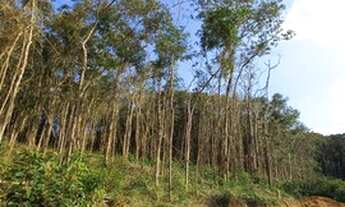 Imagem 2: Sendo de 15.000,00 entrada e o saldo em 50x B8TNVD