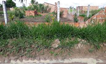 Imagem 5: Terreno em salgado