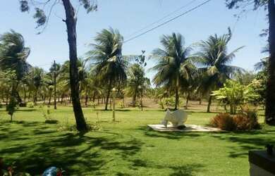 Imagem 4: Terreno à venda, 41.475 m² por R$ 1.200.000 - Pecém - São Gonçalo do Amarante/CE